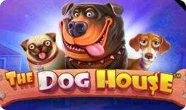 Amonbet – The Dog House